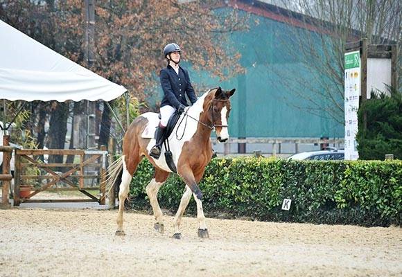Cours-d’équitation-à-Coutras_gal04